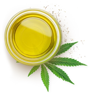 CBD oil made from the Cannabis Sativa plant